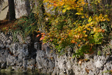 Wall Mural - Herbst an einer Mauer