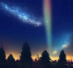 Wall Mural - starry sky nebula on night and dark forest plant and tree moon and aurora light flares nature landsc