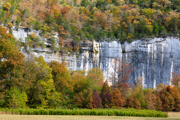 Wall Mural - Autumn at Roark Bluff in Steel Creek Campground along the Buffalo River located in the Ozark Mountains, Arkansas.