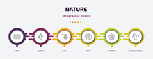 Nature Infographic Template With Icons And 6 Step Or Option. Nature Icons Such As Waves, Iceberg, Hive, Peony, Nymphea, Shadbush Tree Vector. Can Be Used For Banner, Info Graph, Web, Presentations.