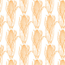 Corn, Maize Pattern. Hand Drawn Corn Design. Color Background. Vector Illustration. Corn On The Cob Hand Drawn Vector Illustration.