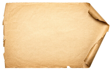 Wall Mural - Ancient scroll isolated on white background. Texture of paper manuscript with shabby edges