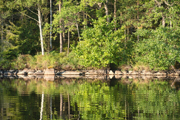 Stone rocks with conifers by the lake in Sweden in Smalland. Wild nature in Scandinavia