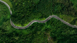 Fototapeta Uliczki - beautyfull curve road on green forest in the rain season background, rural routes connecting cities in the north of thailand
