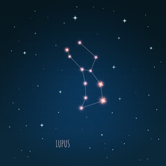 Wall Mural - constellation lupus scheme in starry sky. open space. vector illustration lupus constellation in ope