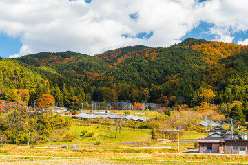 Canvas Print - 山際の田舎のソーラーパネル