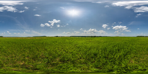 Wall Mural - full seamless 360 hdri panorama view among farming field with sun and clouds in overcast sky in equi