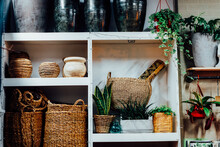Different Wicker Planters, Baskets, Flower Pots On A Shelf In A Flower Shop. Business Of Flower Shop. Trendy Interior Flowers And Home Design, Eco Friendly Decor. Biophilia Concept. Selective Focus.