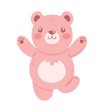 Beauty Pink Bear Teddy