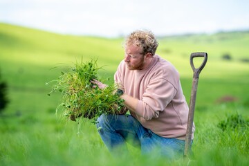 Wall Mural - soil carbon scientist research in the field conducted with farmers and agriculture industry