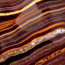 Mineral Specimens: Petrified Wood