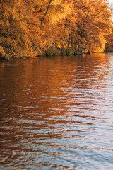 Wall Mural - autumn in the park