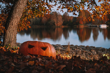 Wall Mural - autumn in the park