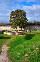 Wall Mural - The old stone Pskov Kremlin