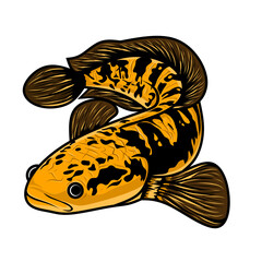 Wall Mural - Channa fish raw logo, with PNG file, for logo design purposes related to the channa fish community