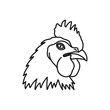 Rooster head in line art illustration. Rooster head icon. Rooster vector. Rooster mascot.