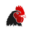 Rooster head illustration. Rooster head icon. Rooster vector. Rooster mascot.