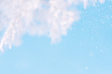 Wall Mural - outside tree in frost background against sky.