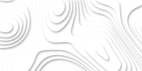 Wall Mural - Abstract background with Beautiful white relief texture background. 3d illustration .Modern and geometric design with white paper background, flat layers,relief topographic map. paper texture design .