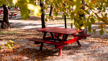 Seating Areas In The Park, Unmanned, Calmness And Serenity, Leaves With Autumn Colors, Walking Path, Picnic Table, Spaces