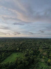 Wall Mural - Light blue sky over green jungle