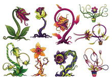 Carnivorous Plant Set. Cartoon Flytraps Or Flower Predators. Angry Flowers With Teeth. Monster Plant Icons. Vector Illustration