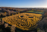Fototapeta  - Drone shot of a corn maze