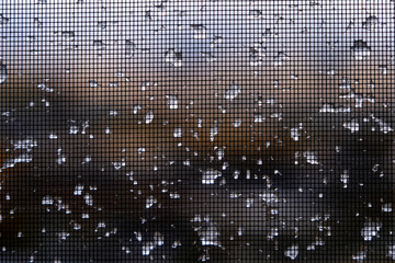 Ice Frozen on Window Screen