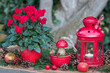 Weihnachts-Dekoration mit Holz-Fliegenpilz, rotem Alpenveilchen und Laterne