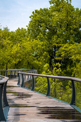 Wall Mural - Parkview Tree Canopy Trail curving wood bridge riverfront walkways in Promenade Park over the St. Marys River, Fort Wayne, Allen County, Indiana