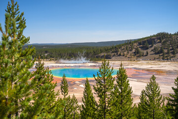 Sticker - Grand Prismatic Spring in Yellowstone National Park. 