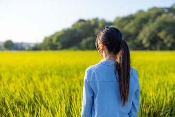 Wall Mural - Travel woman in rice field