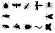 Collage. Black insects on a white background. 