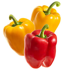 PNG. Ripe red and yellow paprika. Isolate