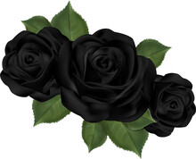 PNG With Three Gothic Black Roses