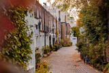 Fototapeta Tulipany - London, UK - 22 October 2022. Kynance Mews in the Royal Borough of Kensington and Chelsea. Autumnal foliage on the outside of buildings.