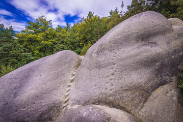 Wall Mural - White or Elephant Stones - Bile or Sloni Kameny rock formation in Lusatian Mountains, Czech Republic