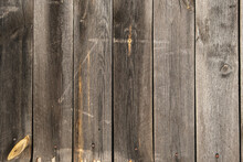 Wooden Texture With Vertical Lines. The Texture Of Wood With Knots And Holes. The Background Of A Wooden Fence Damaged By Time. The Texture Of A Tree With Moss.