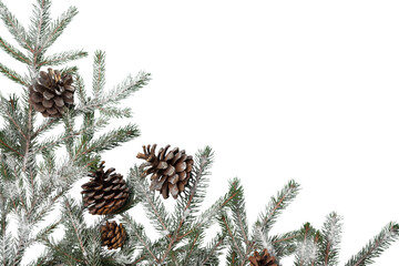 Wall Mural - new year and christmas decorations, christmas fir branches