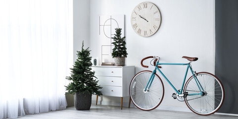 Interior of light living room with bicycle, chest of drawers and small fir trees