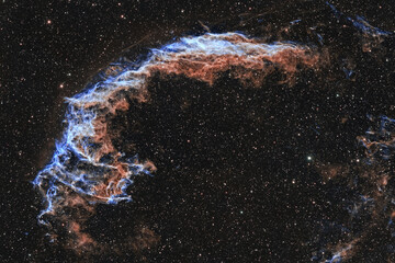 Wall Mural - Eastern Veil supernova remnant in Cygnus