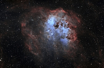 Wall Mural - IC 410 - The Tadpoles Nebula