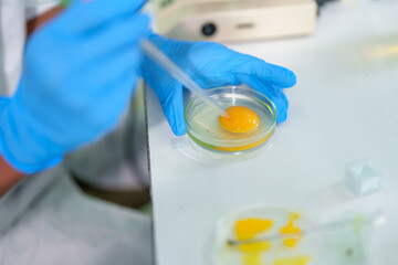 Wall Mural - Modern Medical Research Laboratory: Stem cell researcher working in laboratory Study on Stem Cells on the Stereo microscope view in laboratory , Advanced Scientific Lab for Medicine, Biotechnology.