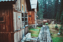 A Rural Rainy Scene With A Shallow Depth Of Field And A Selective Focus On A Chestnut Color Horse Getting Wet In The Rain In A Taiga Conifer Forest Next To Two Wooden Huts In A Defocused Foreground