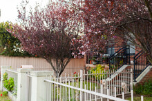 fence dividing front yards of duplex homes in spring - close neighbours