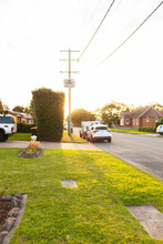 Neat And Tidy Lawn Grass Of Front Yard On Street Corner In Warm Sunset Light