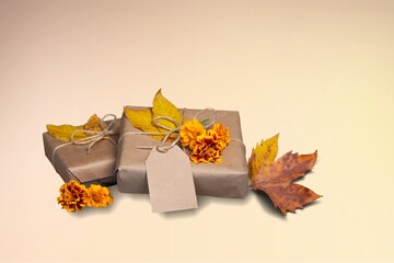 Wall Mural - Gift box with ribbon and dry leaves