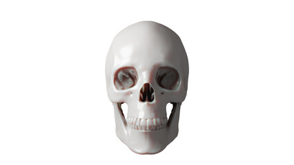 skull on a black background 3d Rendering