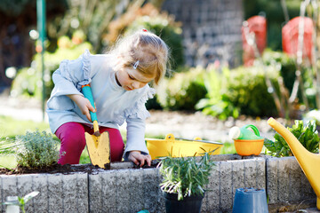 Wall Mural - Adorable little toddler girl holding garden shovel with green plants seedling in hands. Cute child learn gardening, planting and cultivating vegetables herbs in domestic garden. Ecology, organic food.