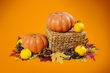 Canvas Print - Set of autumn fresh colored pumpkins and leaves